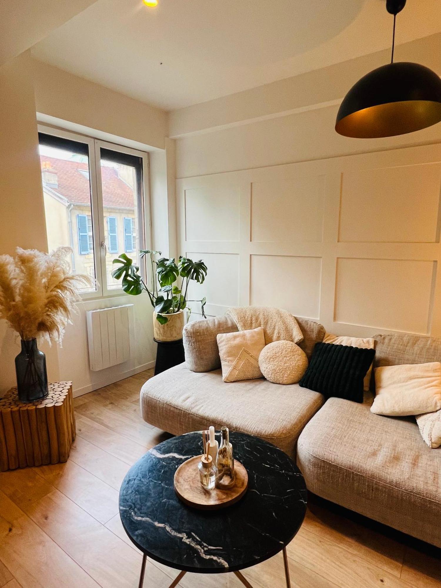 Charmant T2 Au Coeur De Dijon Apartment ภายนอก รูปภาพ