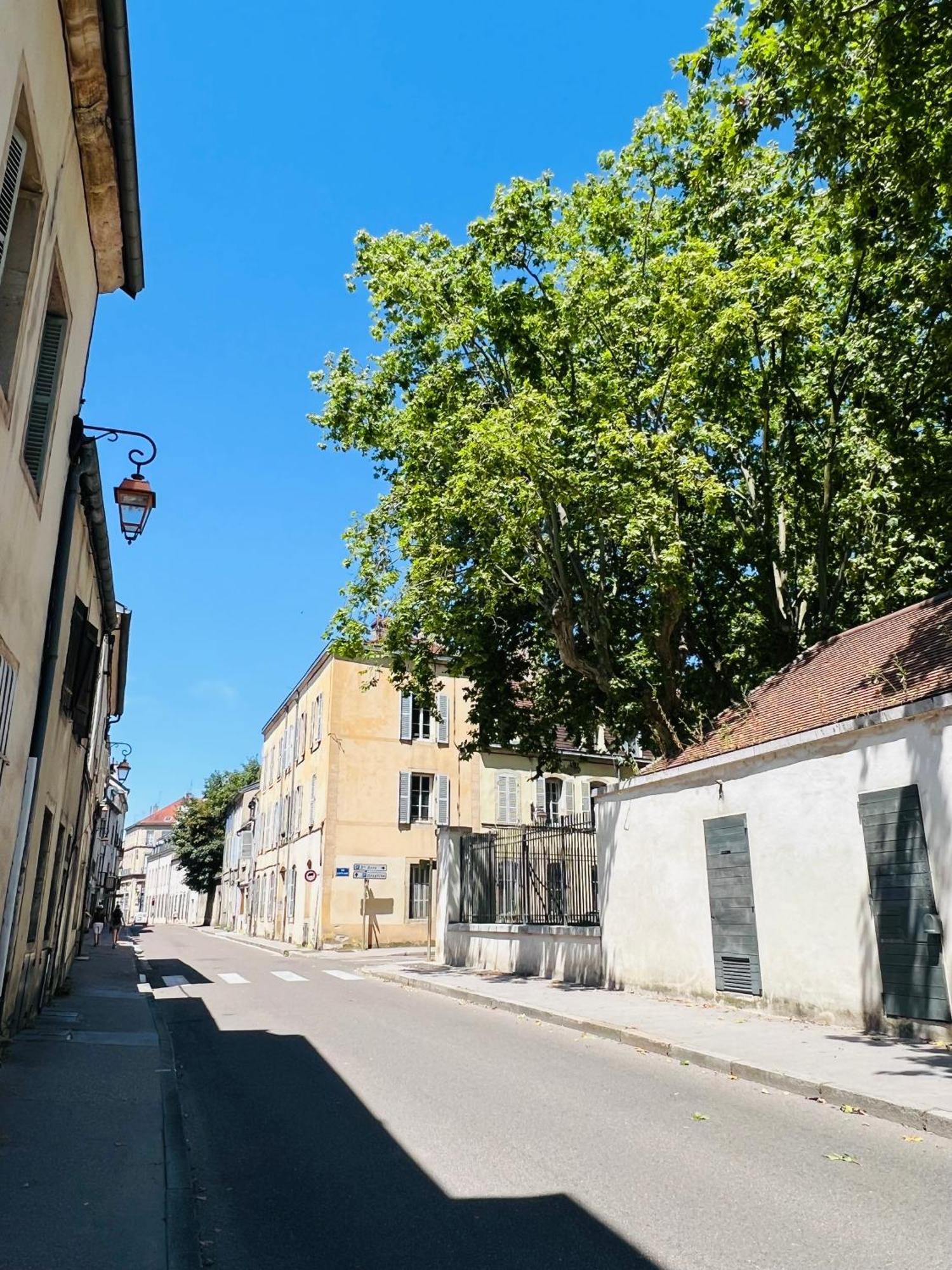 Charmant T2 Au Coeur De Dijon Apartment ภายนอก รูปภาพ